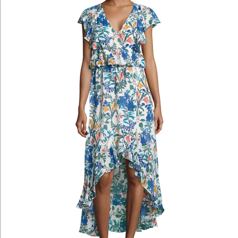 Parker Floral dress